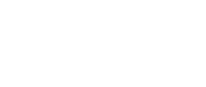 Houston Galveston Shuttle Co.